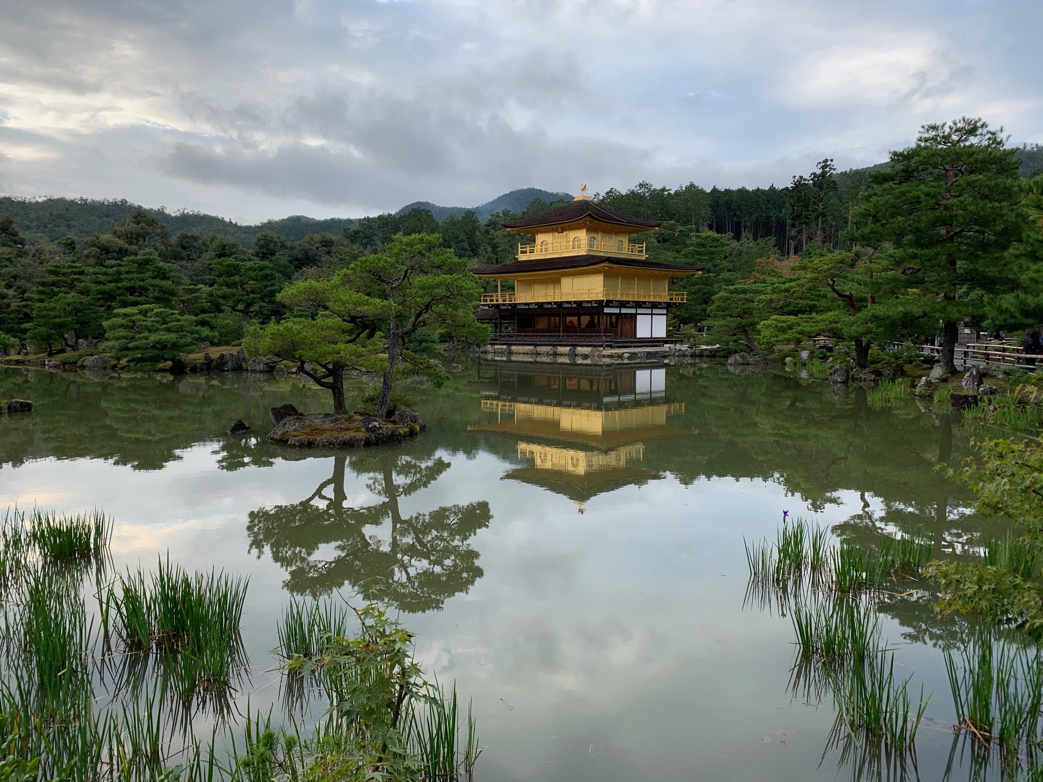 Forest pathway in Kyoto, Japan